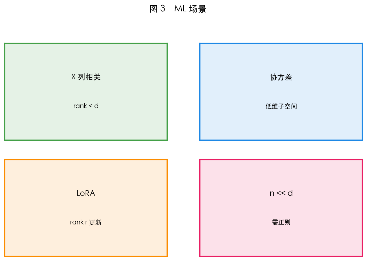 图 3 秩在 ML 中的含义