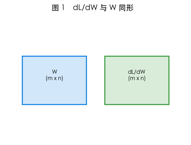 图 1 标量 L 对矩阵 W 求导