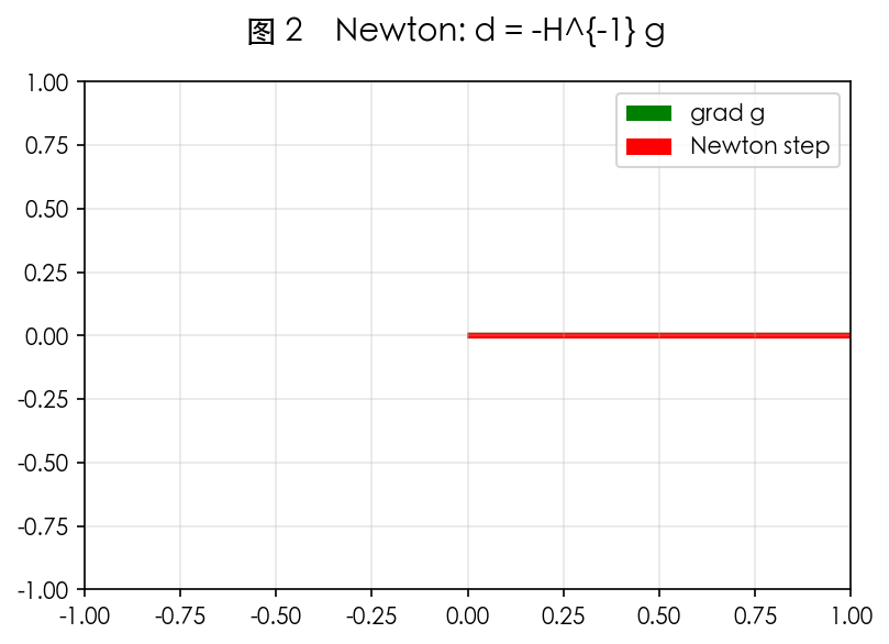 图 2 Newton 用 H^{-1}g