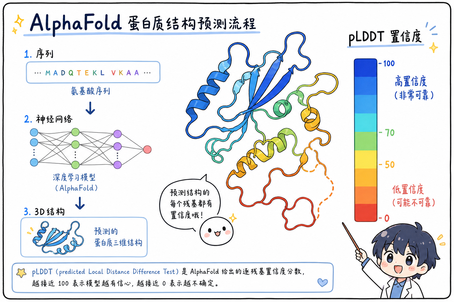 AlphaFold 类输出与 pLDDT 着色直觉（科研动漫风示意图，非官方原图）