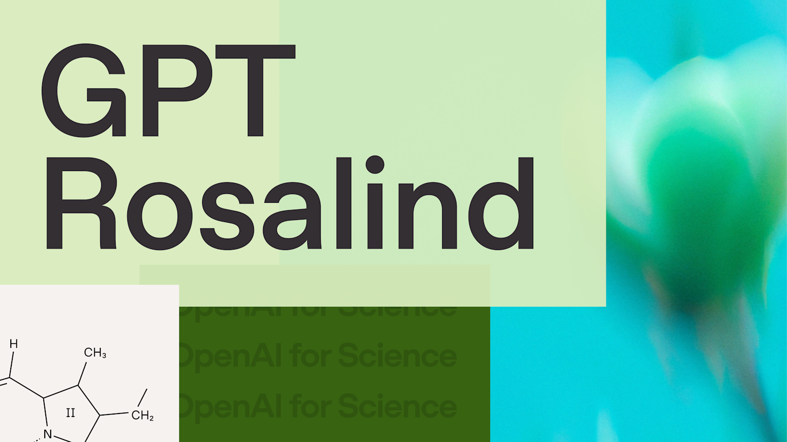 OpenAI 介绍页配图：GPT-Rosalind 生命科学研究主题视觉（官方素材，本地归档）