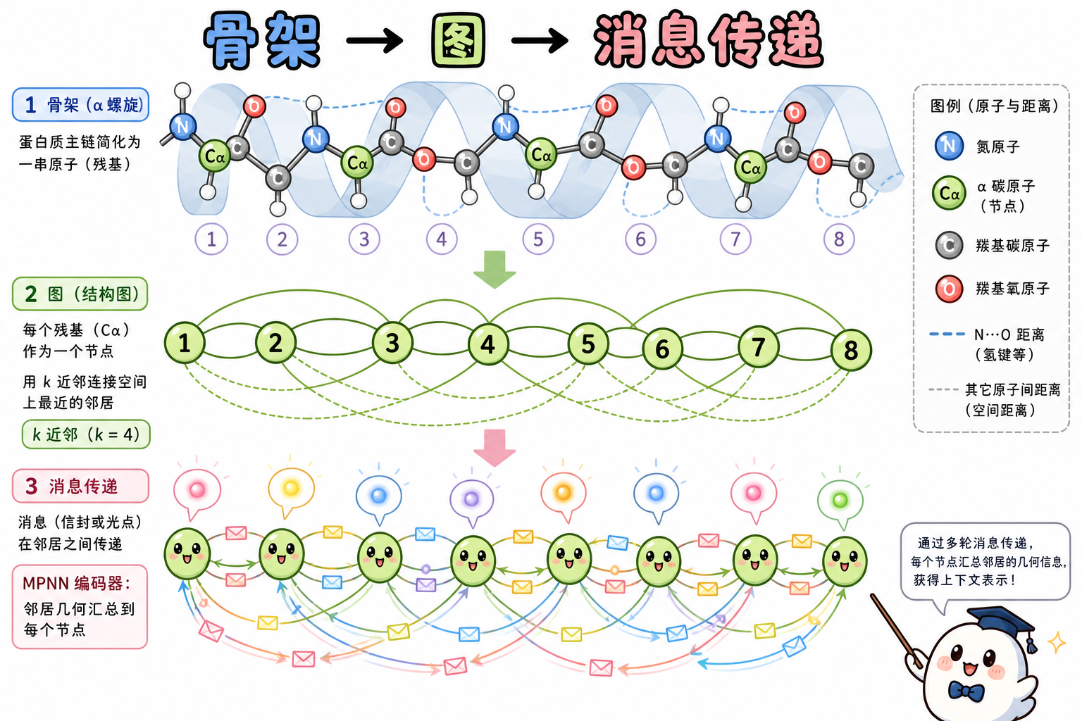 主链建图、k 近邻与 MPNN 消息传递直觉（科普动漫风示意图，非论文原图）