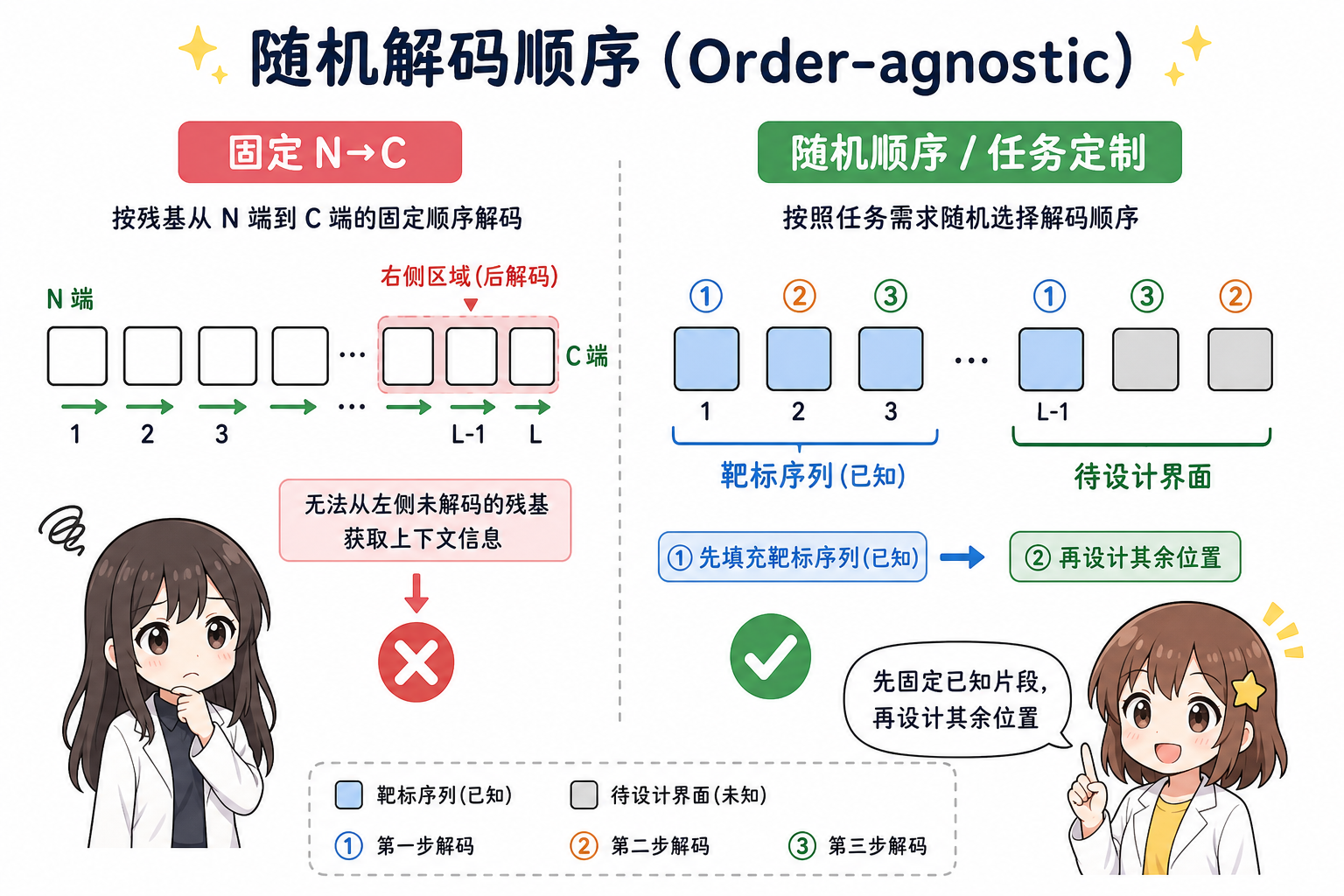 固定 N→C 与随机解码顺序、先固定已知片段再设计界面（科普动漫风示意图，非论文原图）