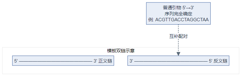 普通引物与模板链互补结合(逻辑图)