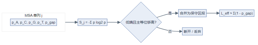 MSA 单列熵、区段合并与有效长度（科研风格示意图，与下节 Mermaid 同源）