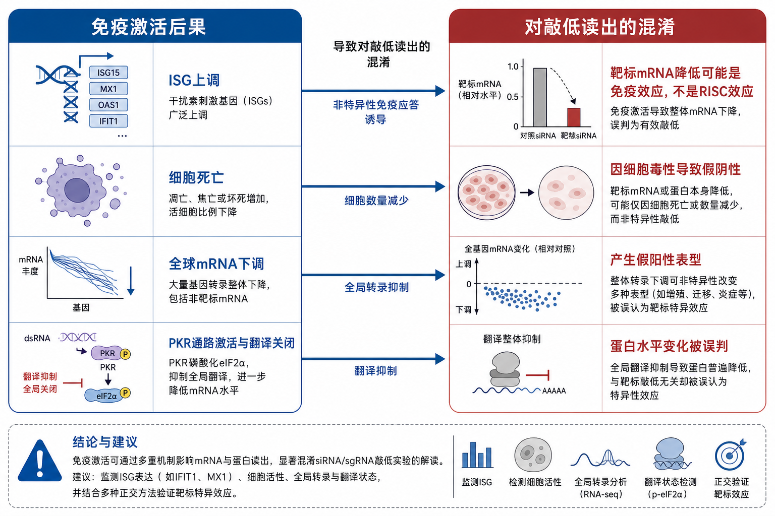 图 2　免疫激活如何混淆敲低与表型读出（科普示意，非论文原图）