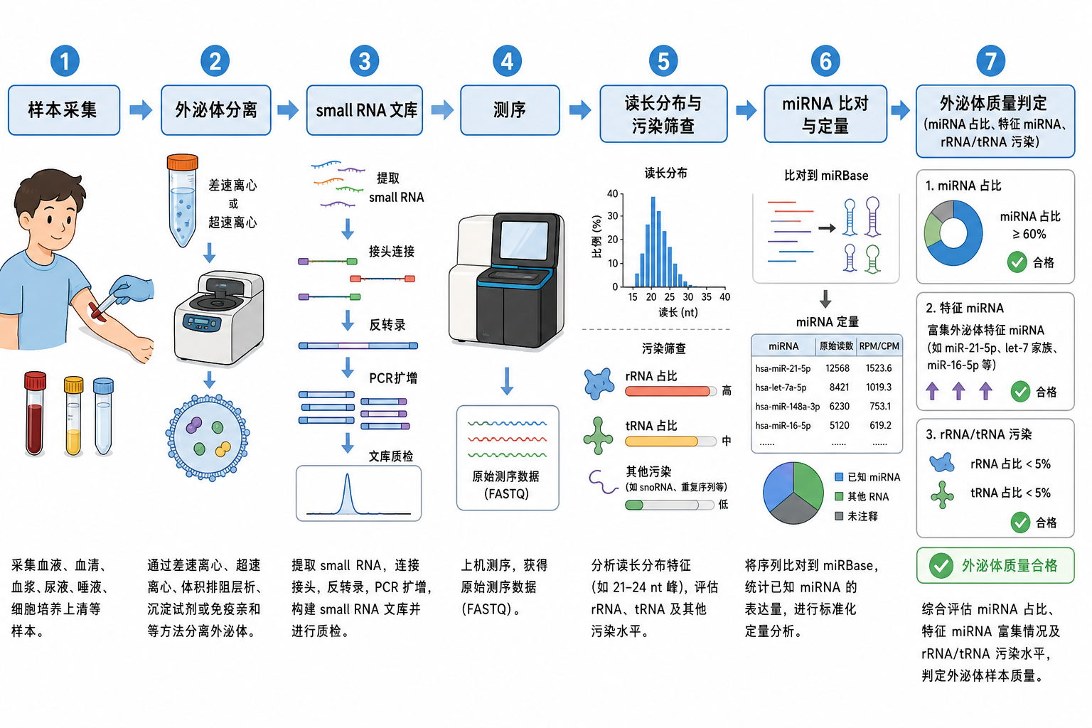 图 1 外泌体 miRNA 测序质控分析流程示意