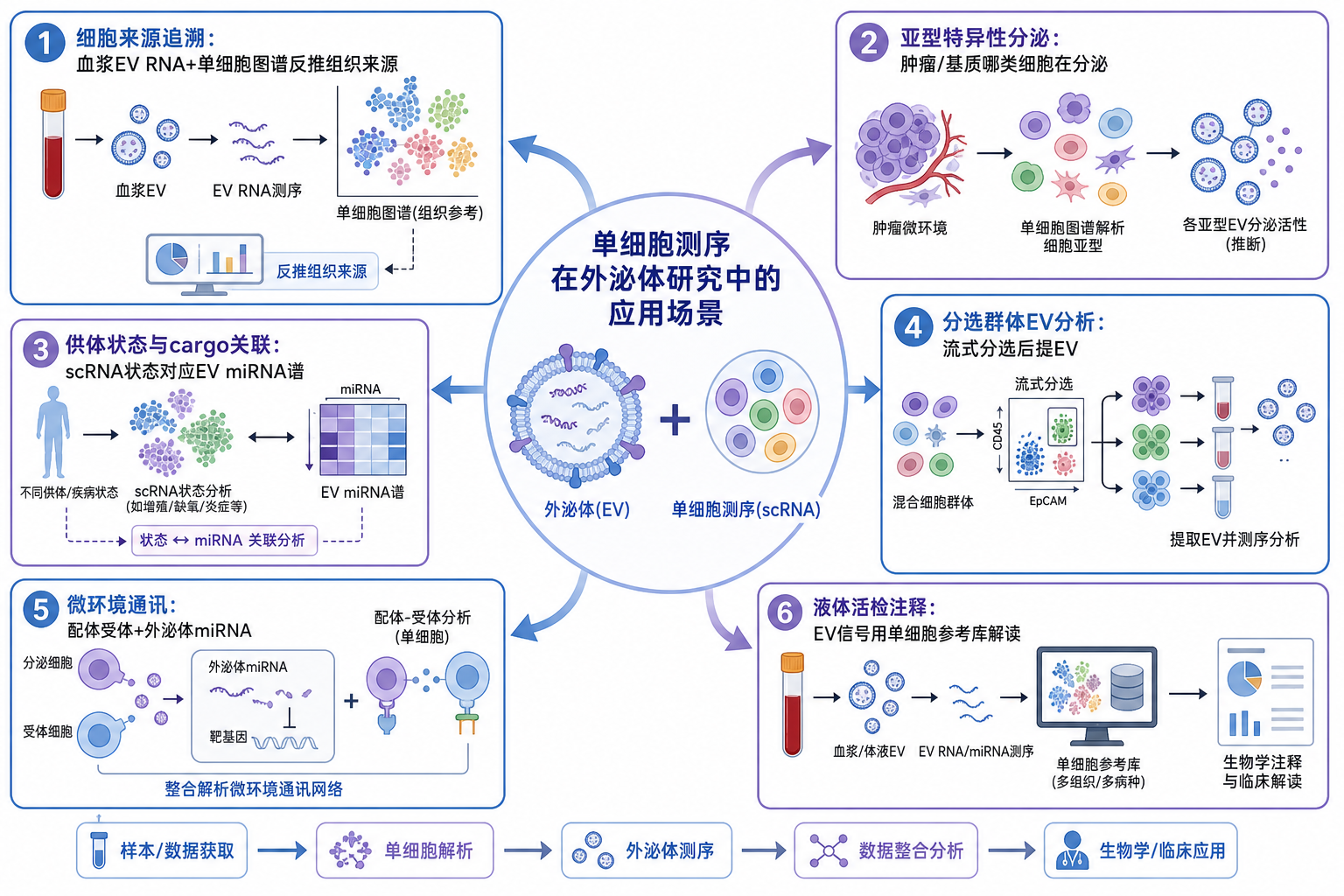 图 2 单细胞测序在外泌体研究中的六大应用场景