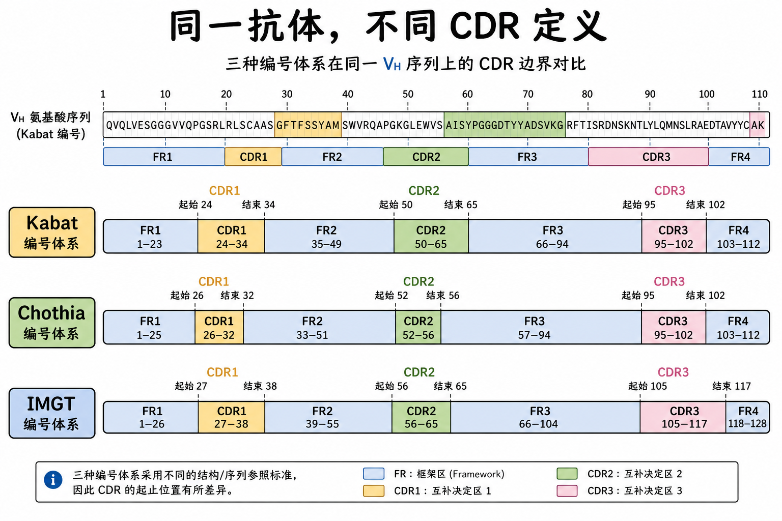 图 2 ANARCI 可在同一序列上切换 IMGT、Kabat、Chothia 等方案(科普示意)