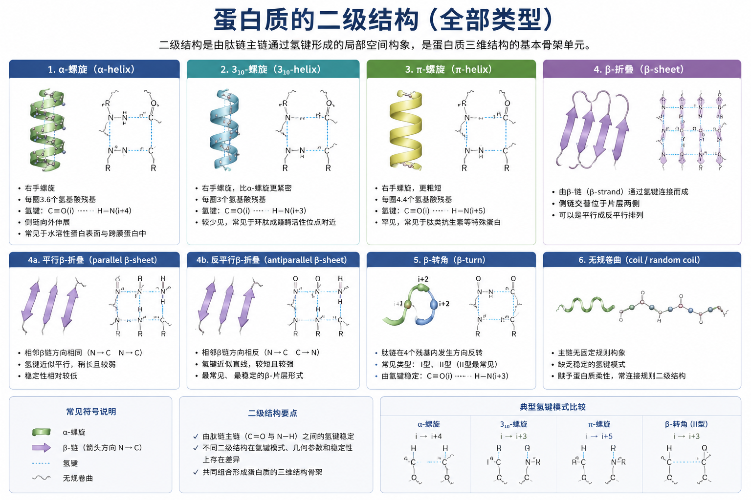 主要二级结构元件