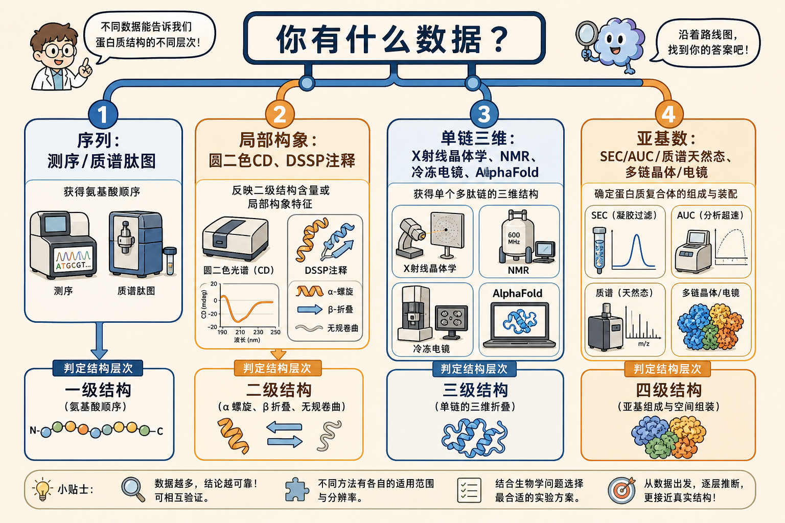 图 6　从数据类型到结构层次的判定地图