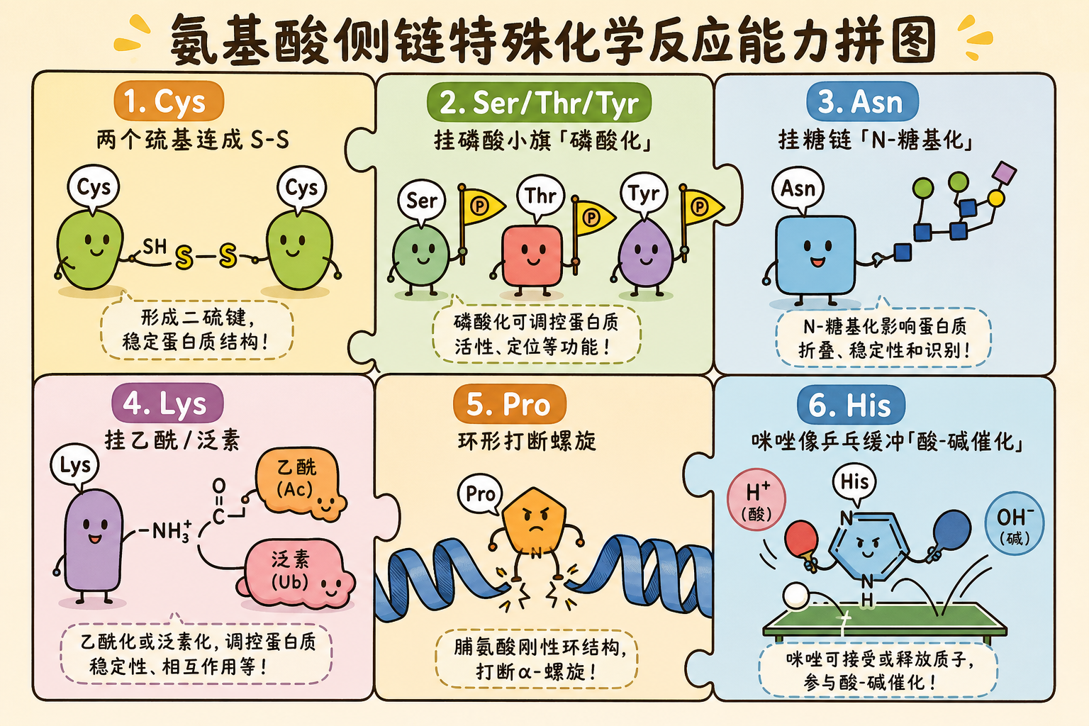 图 4 残基特殊化学:二硫键、磷酸化、糖基化等