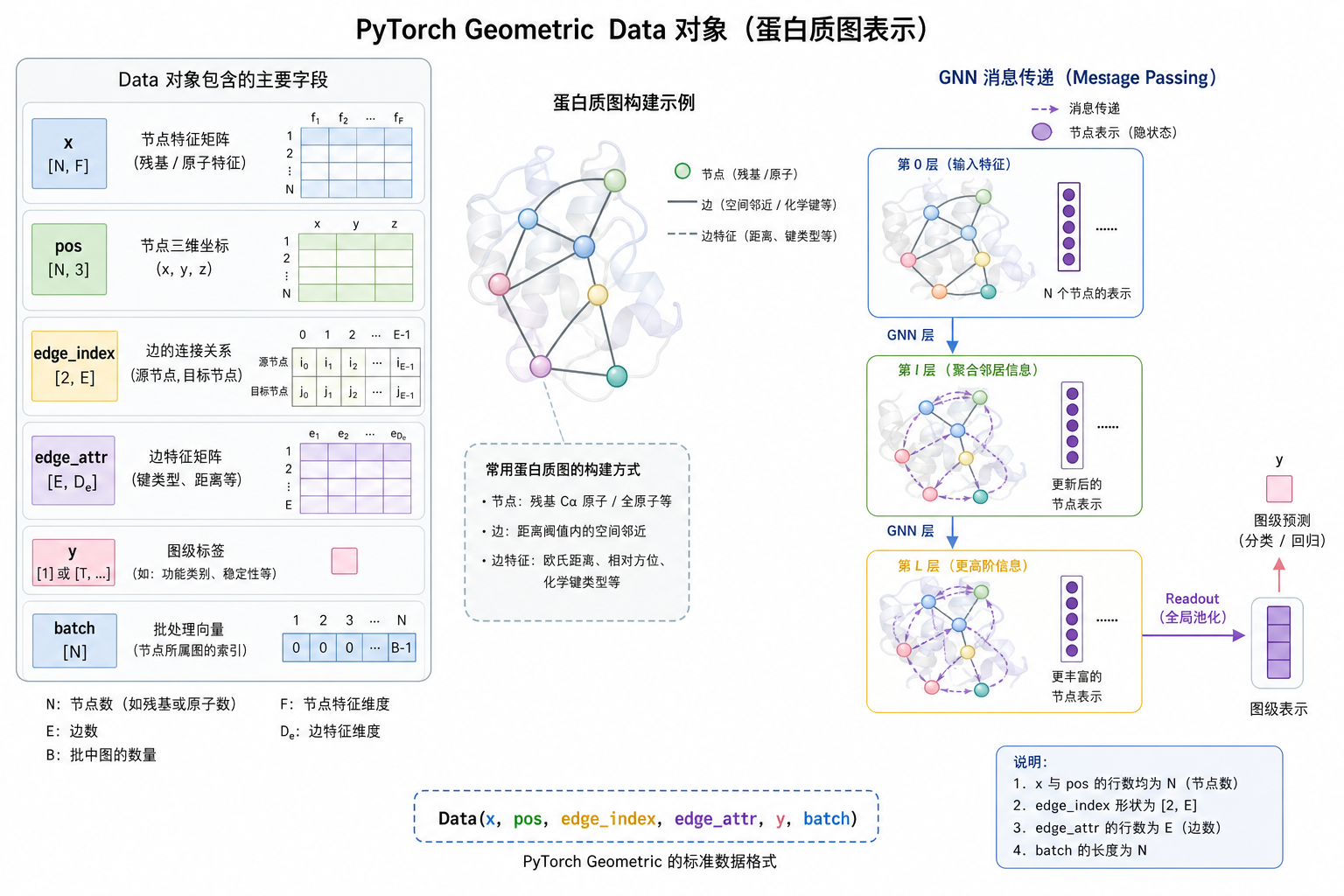 PyG Data 各字段与 GNN 的对应关系