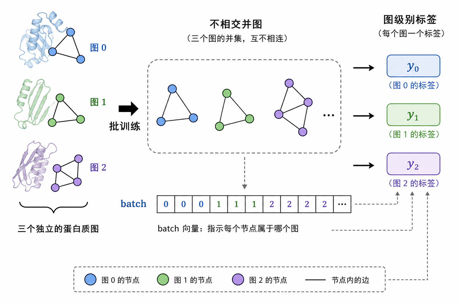 三张蛋白图拼成不相交并图,batch 向量区分图 ID