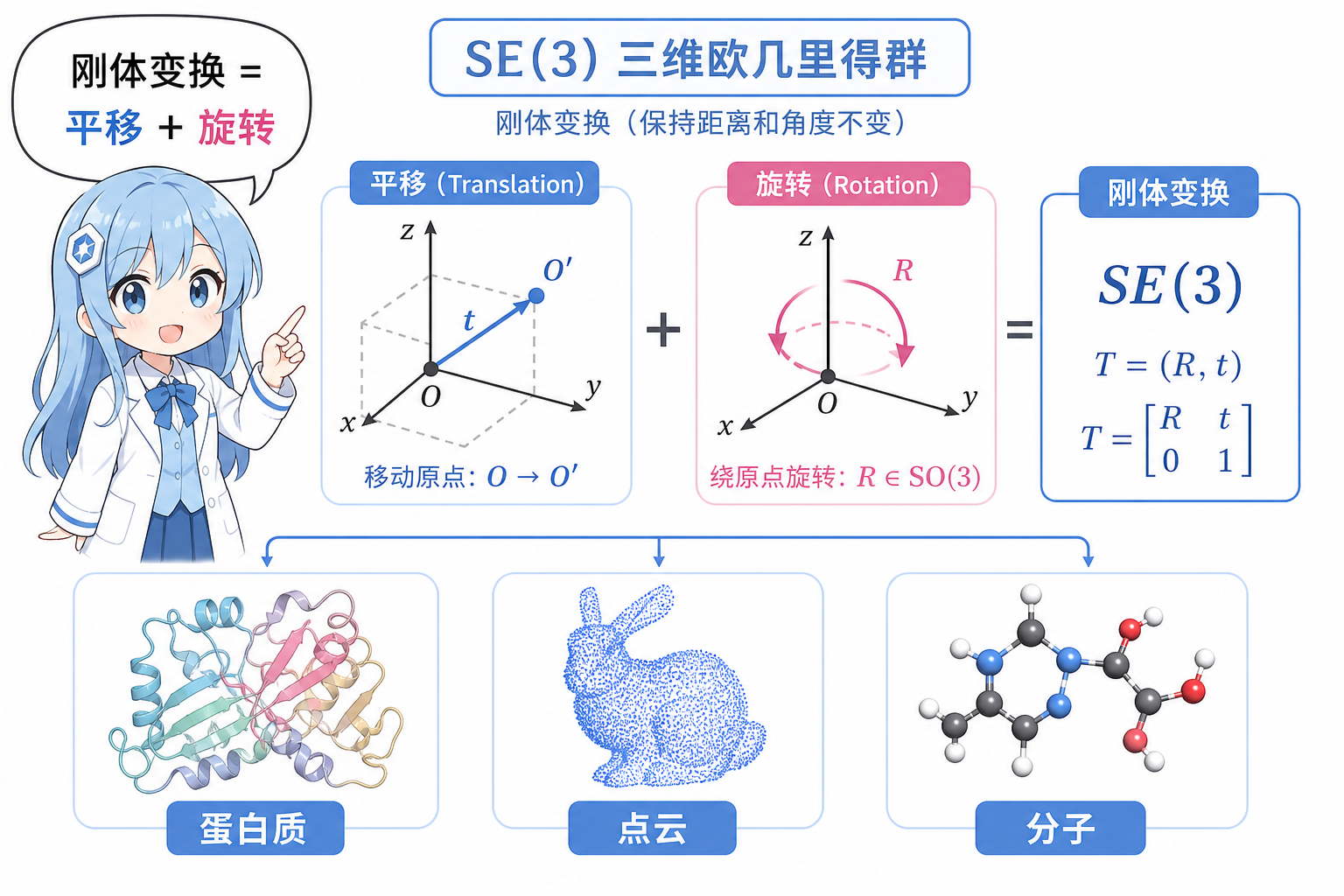 SE(3) = 平移 + 旋转；典型数据包括蛋白质、点云与分子