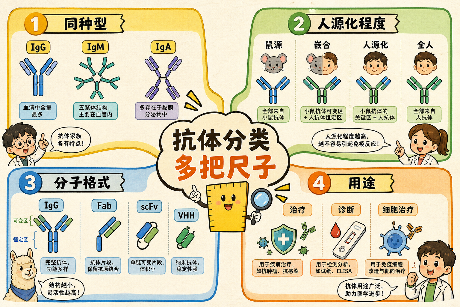图 7 分类不是一棵树:同种型 / 人源化 / 分子格式 / 用途四把尺子(科普示意)
