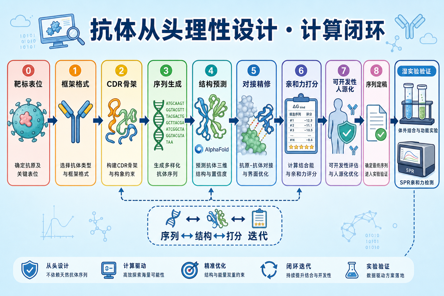 图 1 抗体从头理性设计端到端流程总览(科普示意)