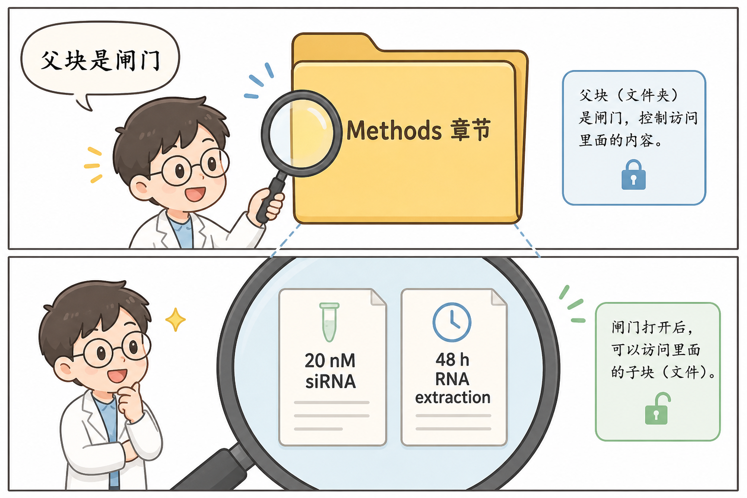 图 1 查询先命中 Methods 父块,再展开「20 nM」与「48 h」子块