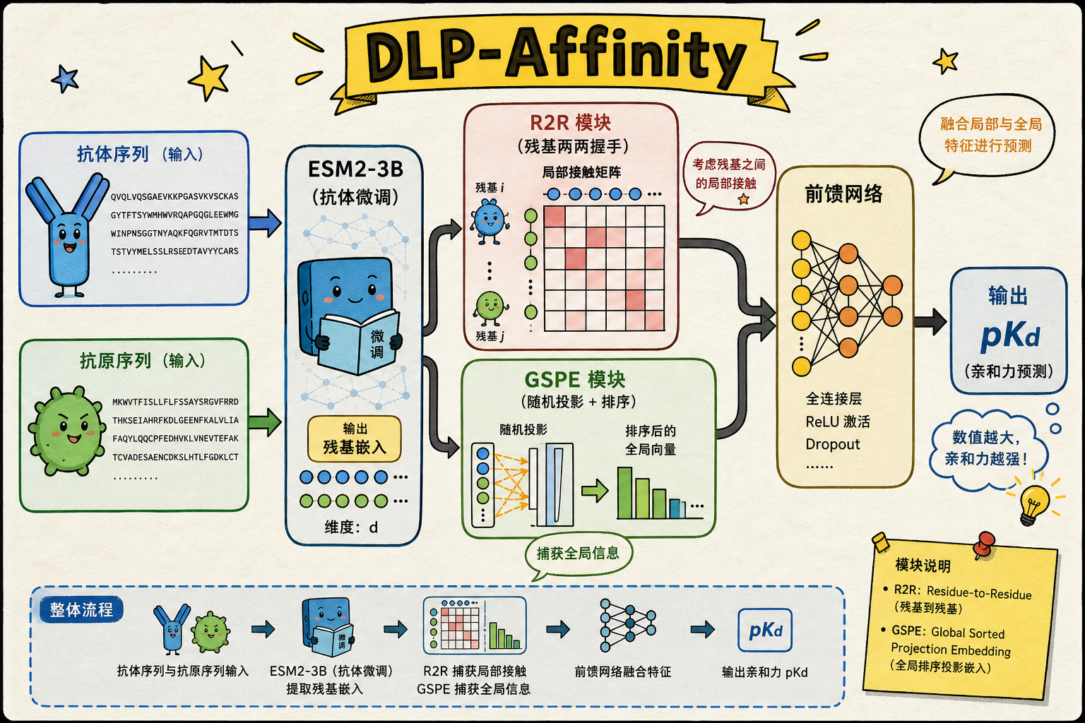 DLP-Affinity 双层表征架构示意