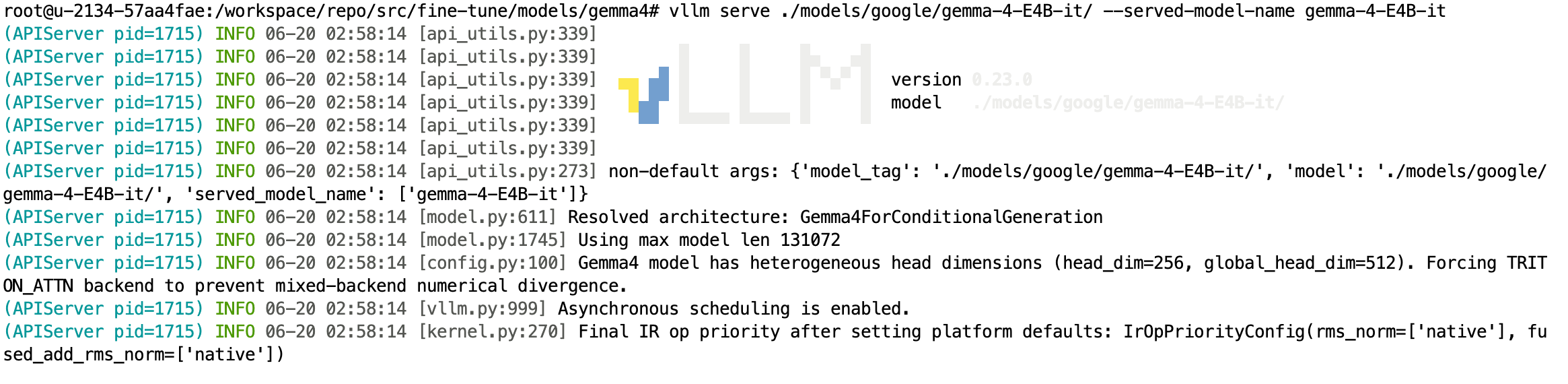 vLLM 0.23.0 启动日志:识别 Gemma4 架构,max_model_len 131072